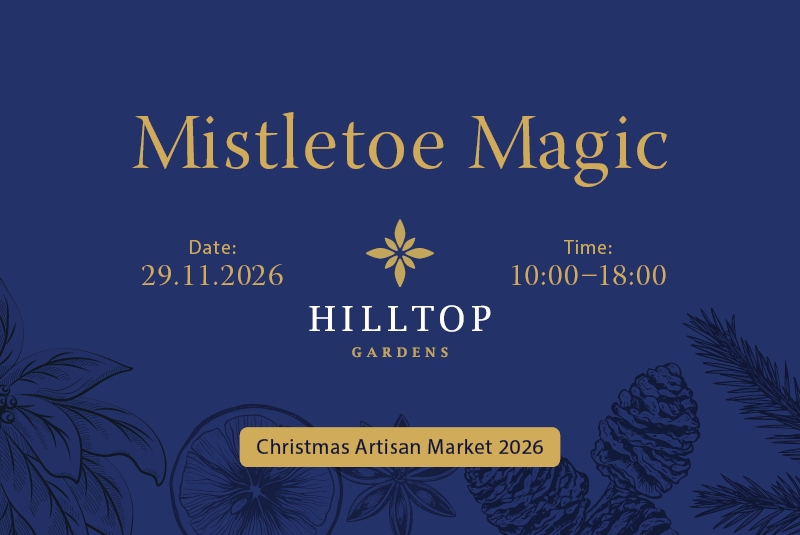 Mistletoe Magic Christmas Market 2026 at Hilltop Gardens in Naxxar, Malta.